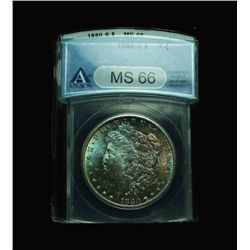 ANACS 1880-s Morgan dollar $1 graded ms66 Toned.