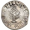 Image 1 : 1652 Massachusetts Pine Tree Shilling, Large Planchet w