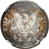 Image 2 : 1880-S Morgan $1 NGC MS64