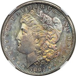 1882-S Morgan $1 NGC MS65