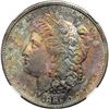 Image 1 : 1882-S Morgan $1 NGC MS64