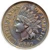 Image 1 : 1880 Indian Head 1C