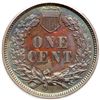 Image 2 : 1880 Indian Head 1C