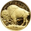 Image 2 : 2006-W $50 Gold Buffalo