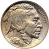 Image 1 : 1913 Buffalo 5C. Type 1 NGC Proof 66