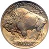 Image 2 : 1913 Buffalo 5C. Type 1 NGC Proof 66
