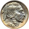 Image 1 : 1913 Buffalo 5C. Type 2