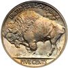 Image 2 : 1913 Buffalo 5C. Type 2