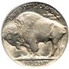 Image 2 : 1925-D Buffalo 5C PCGS MS64