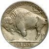 Image 2 : 1937-D Buffalo 5C. 3 Legs