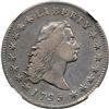 Image 1 : 1795 Flowing Hair $1. 3 Leaves NGC EF40