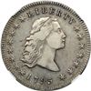Image 1 : 1795 Flowing Hair $1. 3 Leaves NGC EF45