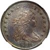 Image 1 : 1800 Bust $1