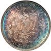 Image 2 : 1891 Morgan $1 NGC MS65