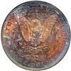 Image 2 : 1894-S Morgan $1 NGC MS65