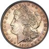 Image 1 : 1904 Morgan $1 PCGS Proof 63