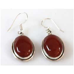 7.91g Semi-Precious Stone Earrings