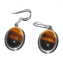 Silver Tiger Eye Oval Earring