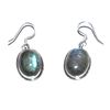 Image 1 : Silver Onex Oval Earring 21.10ctw