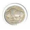 Image 2 : 1924 Buffalo Nickel *FINE GRADE*!!!