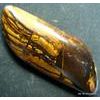 Image 2 : MASSIVE OPAL FROM THE QUEENSLAND OPAL FIELD 47.05 CTS