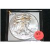 Image 1 : 2012 Silver Eagle Dollar