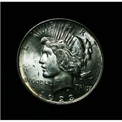 1923-d Peace Dollar Grades Select Uncirculated ms63