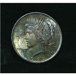 1922-p Peace Dollar Grades Select Uncirculated ms63