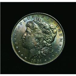 1881-p Morgan Dollar $1 Grades Choice Uncirculated ms64   Gorgeous Color