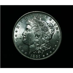 1891-p Morgan Dollar Grades Select Uncirculated ms63