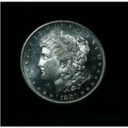 1880-s/s Morgan Dollar $1 Grades Choice Uncirculated ms64++ DMPL VAM 51A