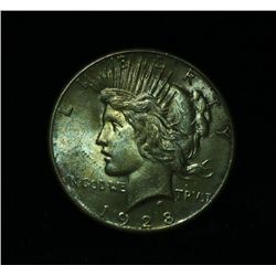 ***RARE   1928-p Peace Dollar $1 Grades Choice Uncirculated ms64++    RARE***