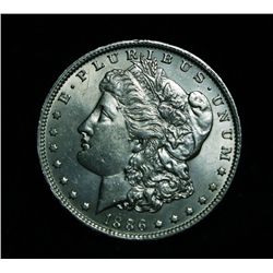 ***RARE  1886-o Morgan Dollar Grades Select Uncirculated ms62   RARE***  VAM 2
