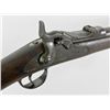 Image 2 : Springfield Model 1884 Trapdoor Carbine
