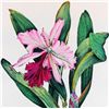 Image 2 : PINK FLOWER HAND COLORED ETCHING 25X18 HUGE SALE