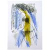 Image 1 : COLORED PICASSO LIMITED EDITION 1964 RARE COLLECTIBLE