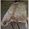 Image 1 : Elk Hide .