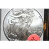 Image 1 : 2012 Silver Eagle