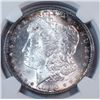 Image 2 : 1890S  Morgan $  NGC64