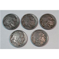 5  1913 T1 Buffalo nickel's  VF