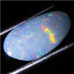 2.59ct Australian Black Opal Doublet Full Fire (GEM-35823)