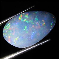 4.55ct Australian Black Opal Doublet Full Fire (GEM-36459)