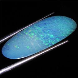 5.94ct Australian Black Opal Doublet Full Fire (GEM-36120)