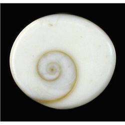 11+ct India Shivas Gomti Chakra (GMR-0883B)