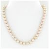 Image 1 : Rare Peach Saltwater Pearl Necklace (JEW-250H)
