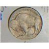 Image 3 : 1913 D BUFFALO NICKEL