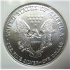 Image 3 : 2006 Silver Eagle First Strikes
