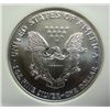 Image 3 : 2006 Silver Eagle First Strikes