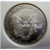 Image 3 : 2008 silver Eagle EARLY RELEASES