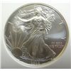Image 2 : 2009 silver Eagle EARLY RELEASES
